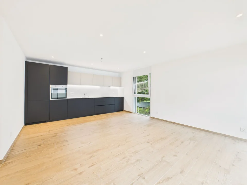 Faszinierendes 2.5-Zimmer-Apartment in Giubiasco, im Kanton TI