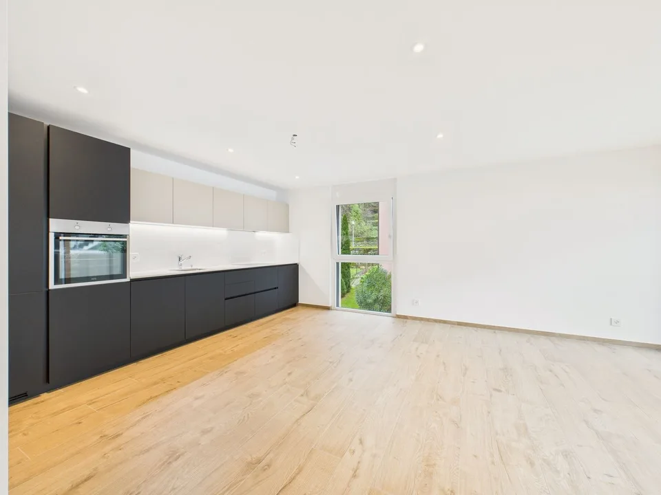 Faszinierendes 2.5-Zimmer-Apartment in Giubiasco, im Kanton TI