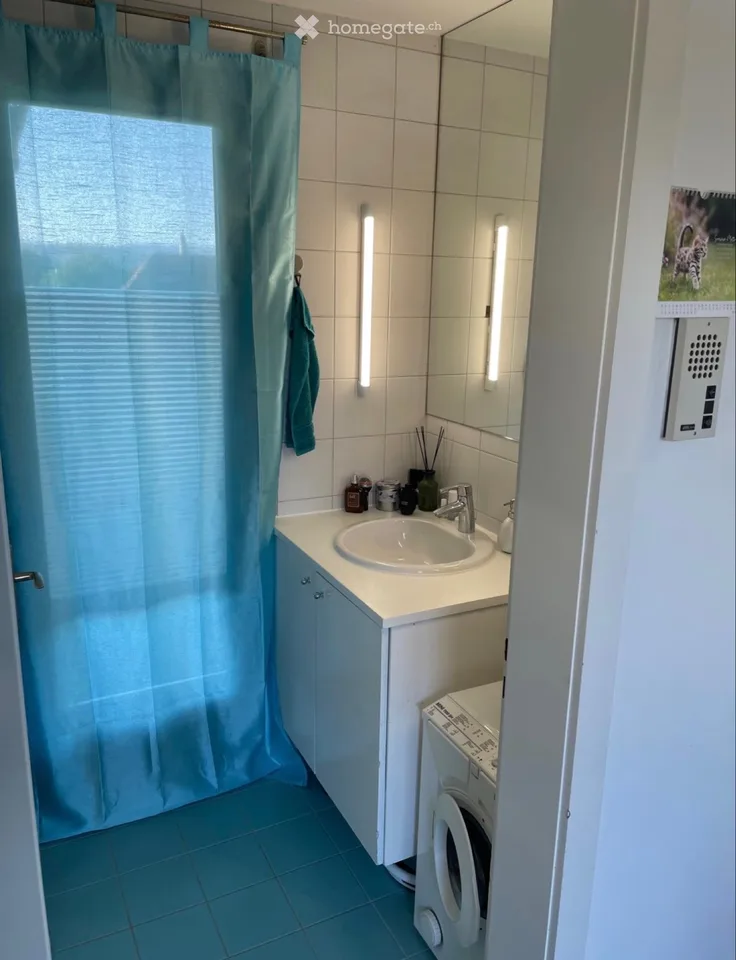 Beautiful terrace apartment for rent in Murten!