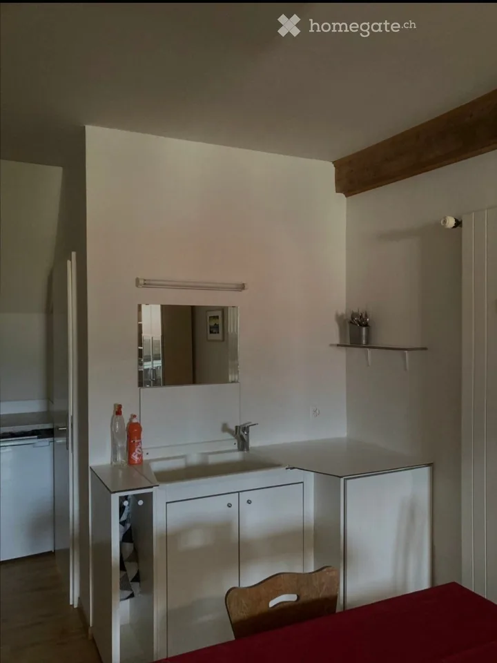 Studio meublé recherche sous-locataire