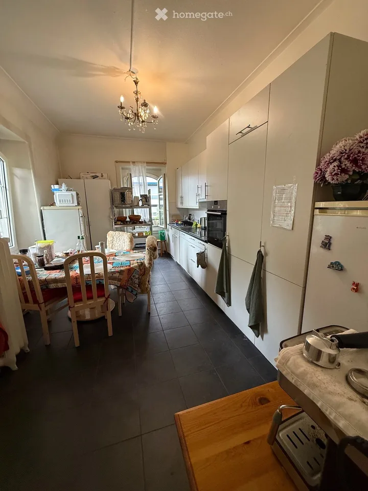 Außergewöhnliche Wohnung in der Nähe des Sees und der Geschäfte