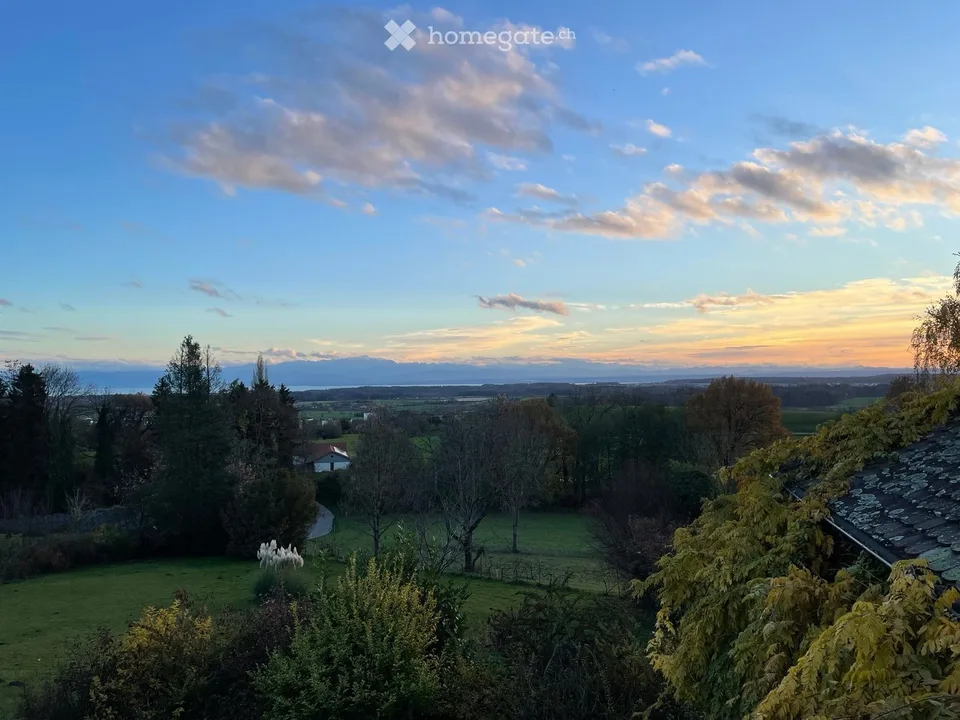 Herrschaftliche Villa mit herrlichem Blick auf Bodensee und Schweizer Berge in Alleinlage