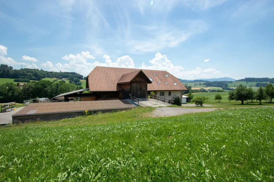 Mehr als ein Bauernhaus - drei Wohnungen und unzählige Möglichkeiten