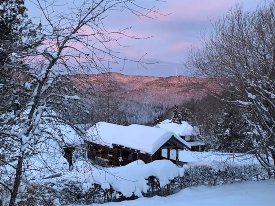 Habiter près de la nature ou profiter des vacances – appartement mansardé de 3 pièces à Wehrhalden
