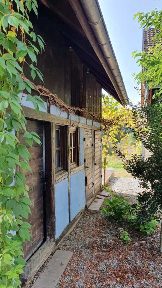 Bella casa familiare di 7 locali a Bartenheim