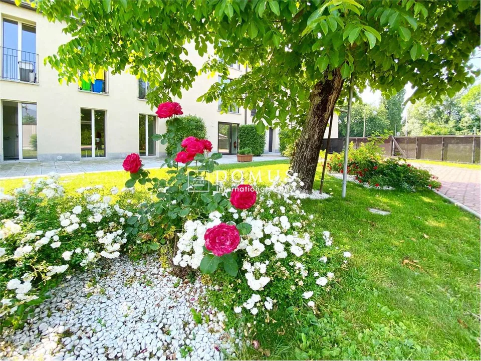 Wohnung mit 3.5 Zimmern im Grünen – Foto 8 von 10