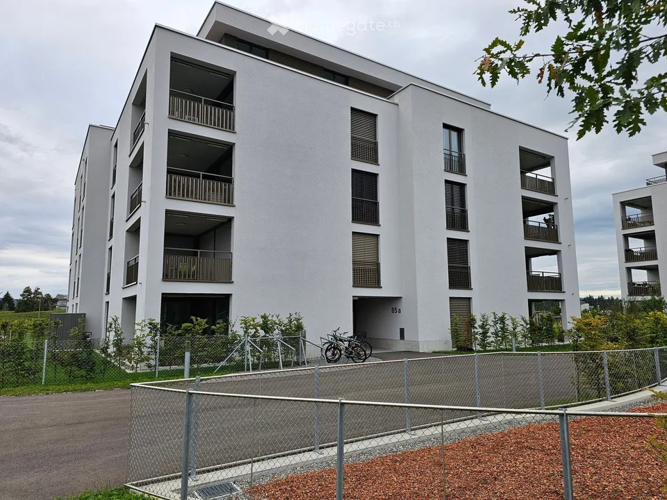 Moderne 4.5-Zimmer-Neubauwohnung mit Balkon in Birr
