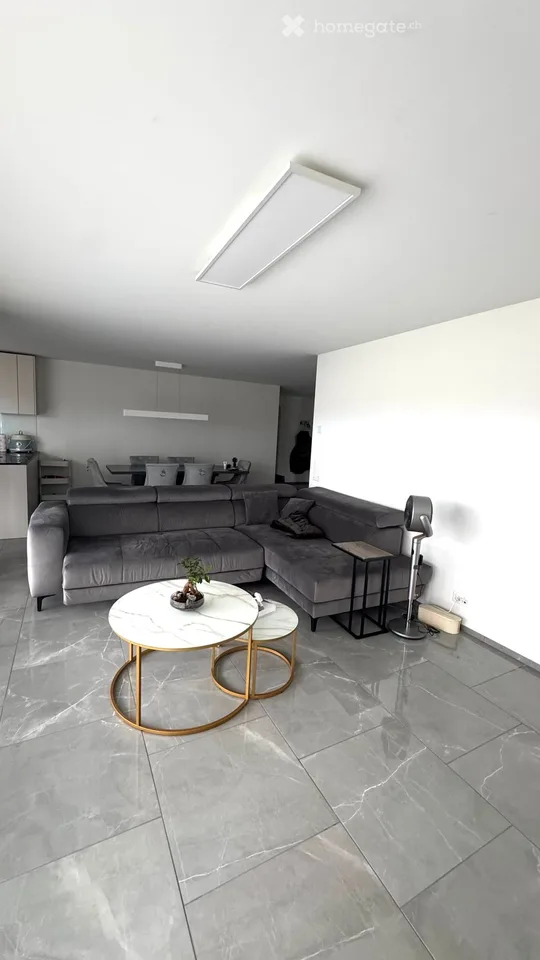 Moderne 4.5-Zimmer-Neubauwohnung mit Balkon in Birr