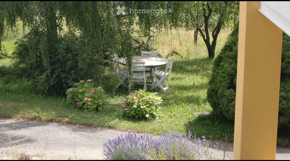 Schönes 3,5-Zimmer-Apartment, ebenerdig, Kamin, Terrasse, Garten, Garage