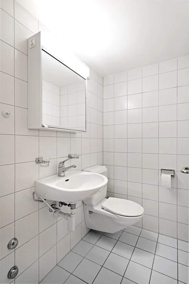 Bright 3-room apartment in Allschwil