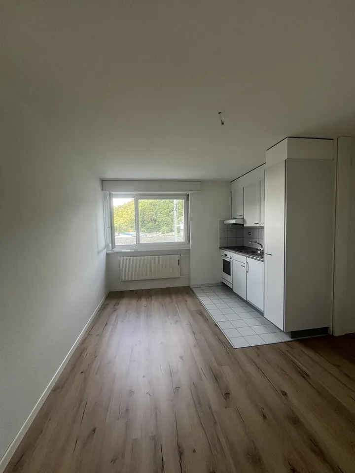 Appartamento di 1.5 locali ristrutturato in affitto! 1° affitto netto offerto!