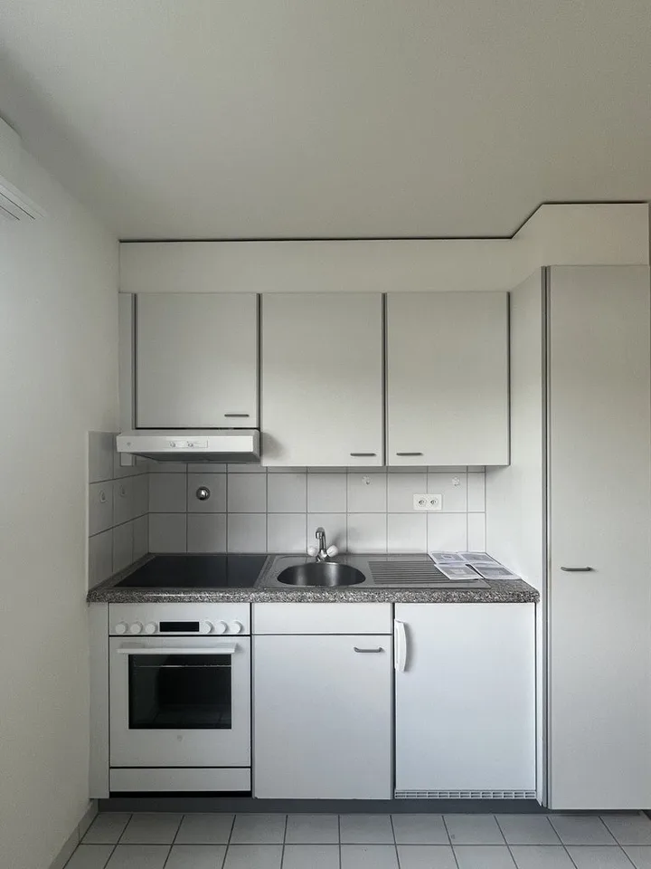 Appartamento di 1.5 locali ristrutturato in affitto! 1° affitto netto offerto!