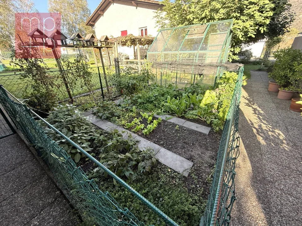 Maison unifamiliale - Giubiasco