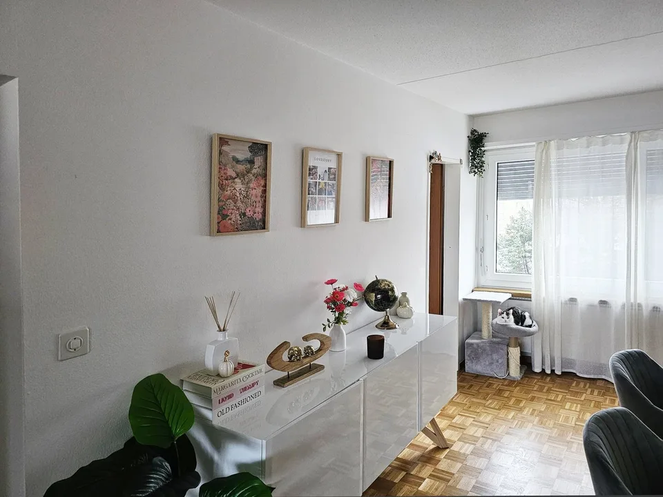 Schöne, gemütliche 2.5-Zimmer-Wohnung mit Balkon in Wetzikon