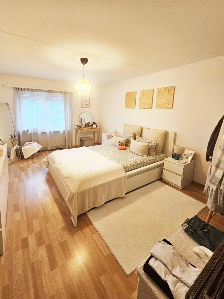 Schöne, gemütliche 2.5-Zimmer-Wohnung mit Balkon in Wetzikon