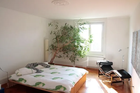 Wunderschöne Altbauwohnung im Kirchenfeld