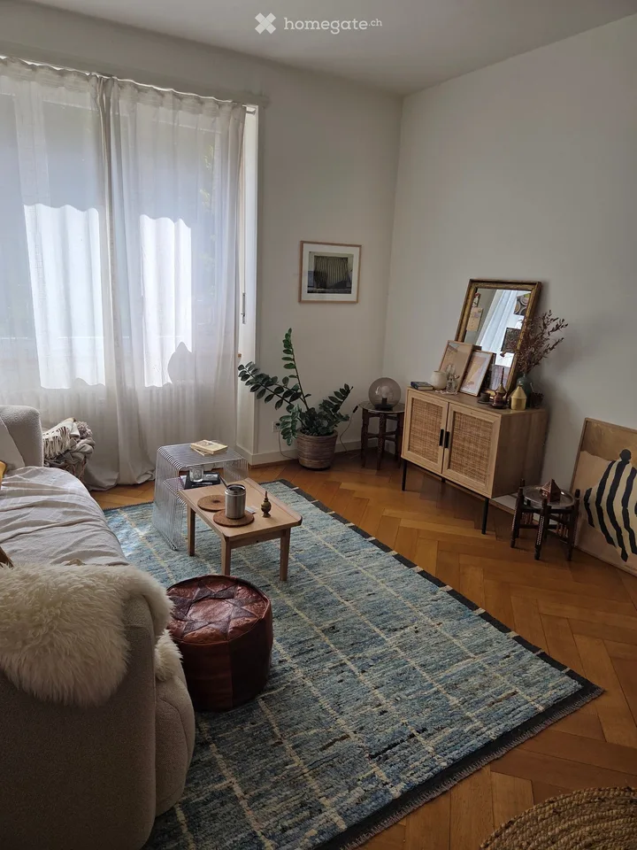 Gemütliche 2-Zimmer-Wohnung mit Balkon am Sankt Galler-Ring, Basel