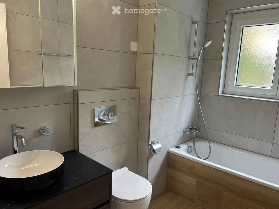 Auction of a 3-room garden apartment in Dietikon