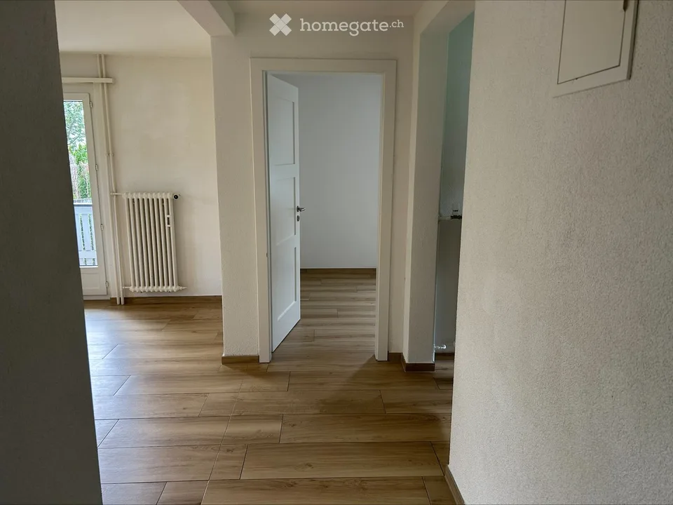 Auction of a 3-room garden apartment in Dietikon