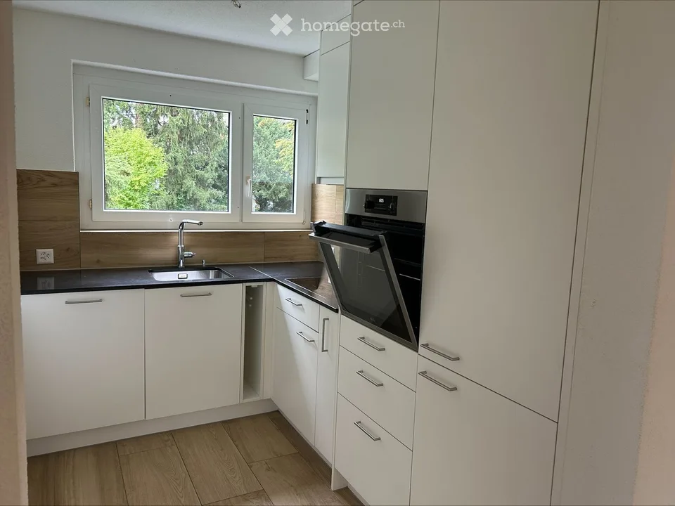 Auction of a 3-room garden apartment in Dietikon