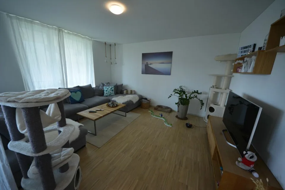 Appartamento moderno 4.5 locali in affitto in un quartiere familiare