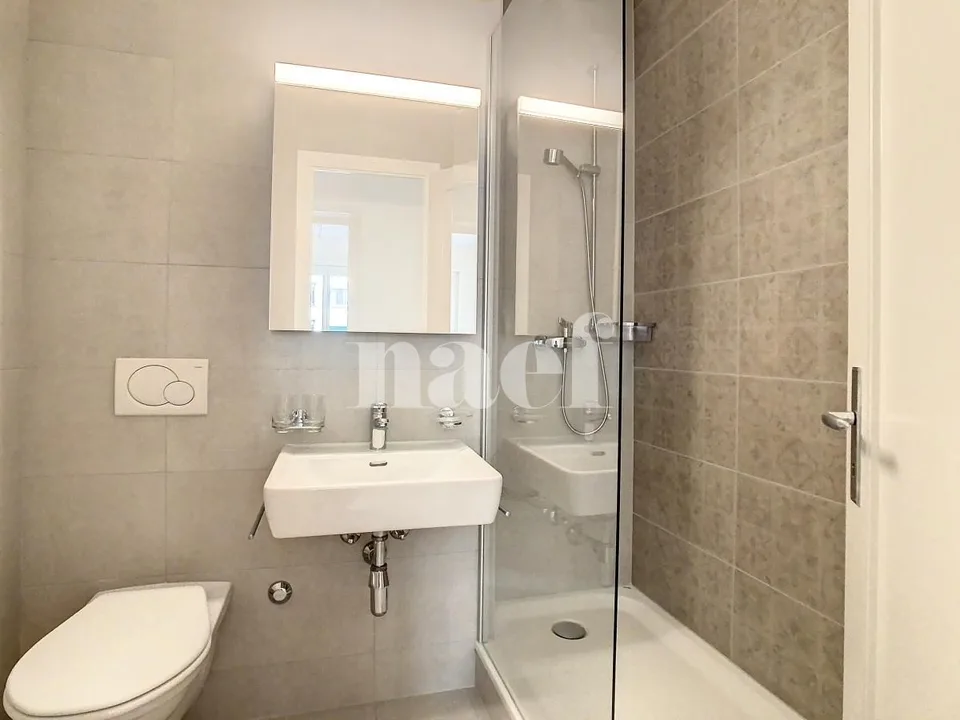 Schönes 2.5-Zimmer-Apartment im Erdgeschoss