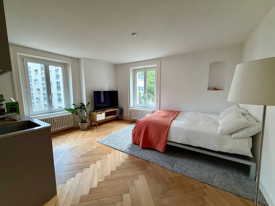 Moderne Stadtwohnung