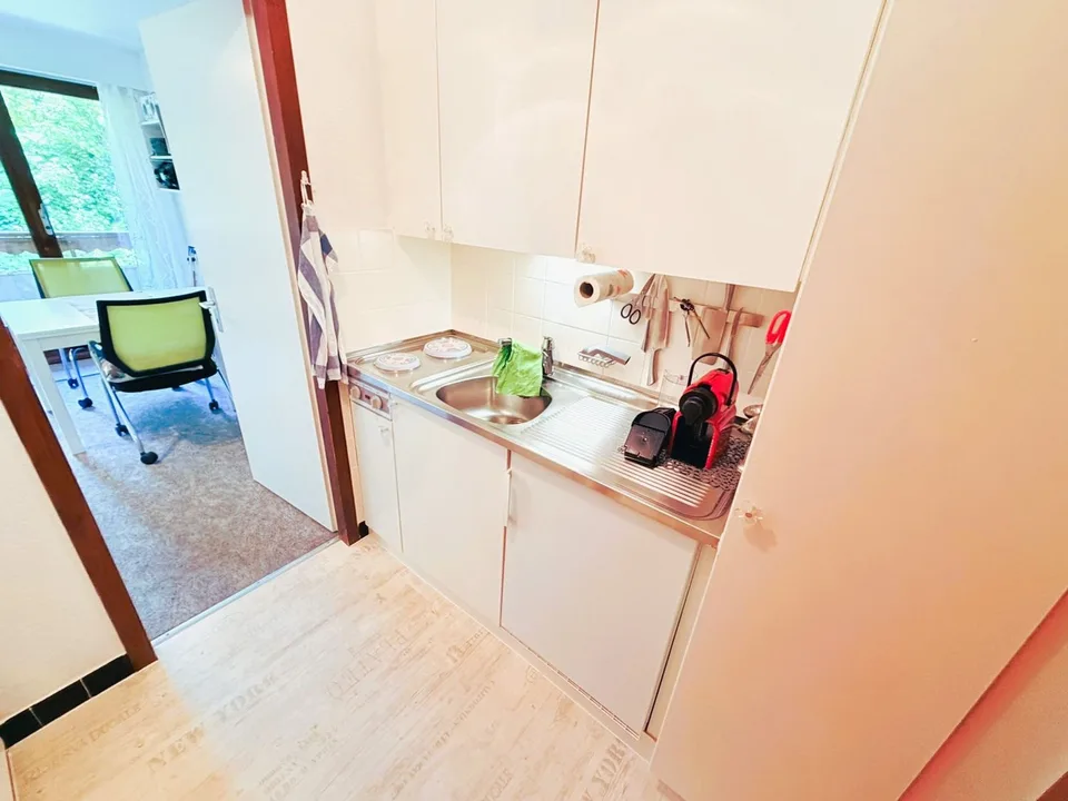 Spacious and bright 1.5 rooms partially renovated - Well located - Very quiet - Pleasant view – photo 6 of 12