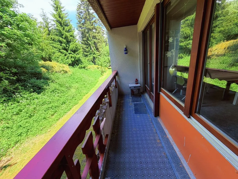 Spacious and bright 1.5 rooms partially renovated - Well located - Very quiet - Pleasant view – photo 9 of 12