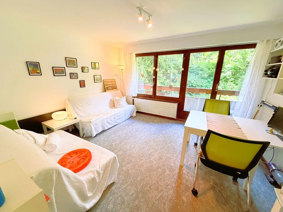 Geräumig und hell 1.5 Zimmer teilweise renoviert - Gut gelegen - Sehr ruhige Lage - Angenehme Aussicht