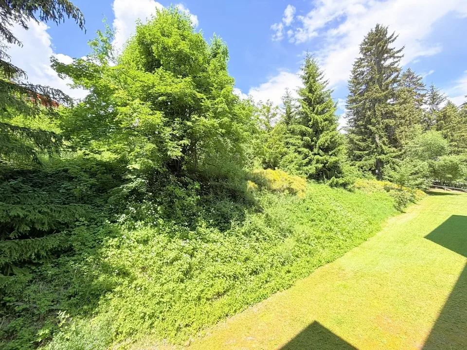 Spacious and bright 1.5 rooms partially renovated - Well located - Very quiet - Pleasant view – photo 11 of 12