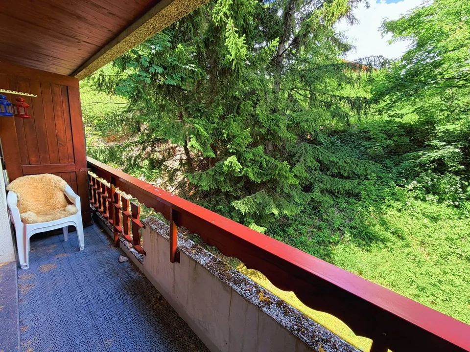 Spacious and bright 1.5 rooms partially renovated - Well located - Very quiet - Pleasant view – photo 10 of 12