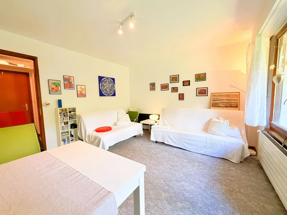 Geräumig und hell 1.5 Zimmer teilweise renoviert - Gut gelegen - Sehr ruhige Lage - Angenehme Aussicht