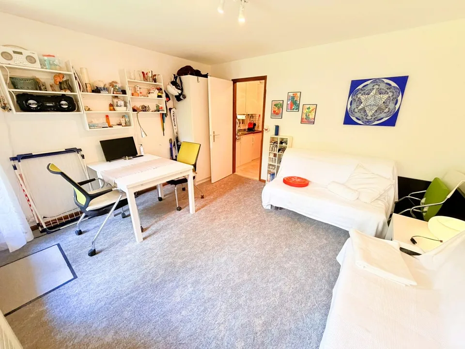 Geräumig und hell 1.5 Zimmer teilweise renoviert - Gut gelegen - Sehr ruhige Lage - Angenehme Aussicht