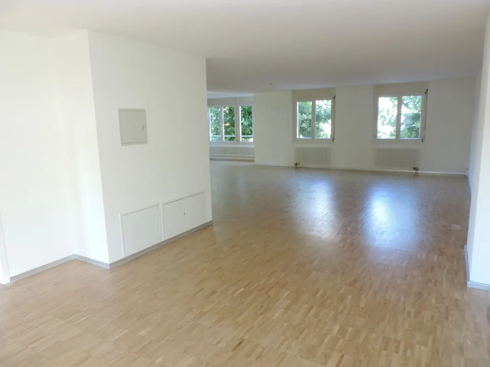 Stylish loft apartment in central location