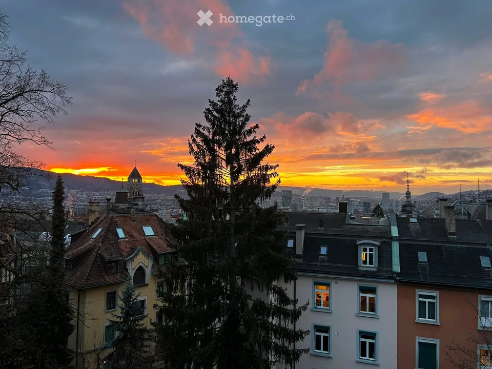 Schönes und grosses Zimmer in WG befristet zu vermieten – Rigiblick, Kreis 6 Zürich