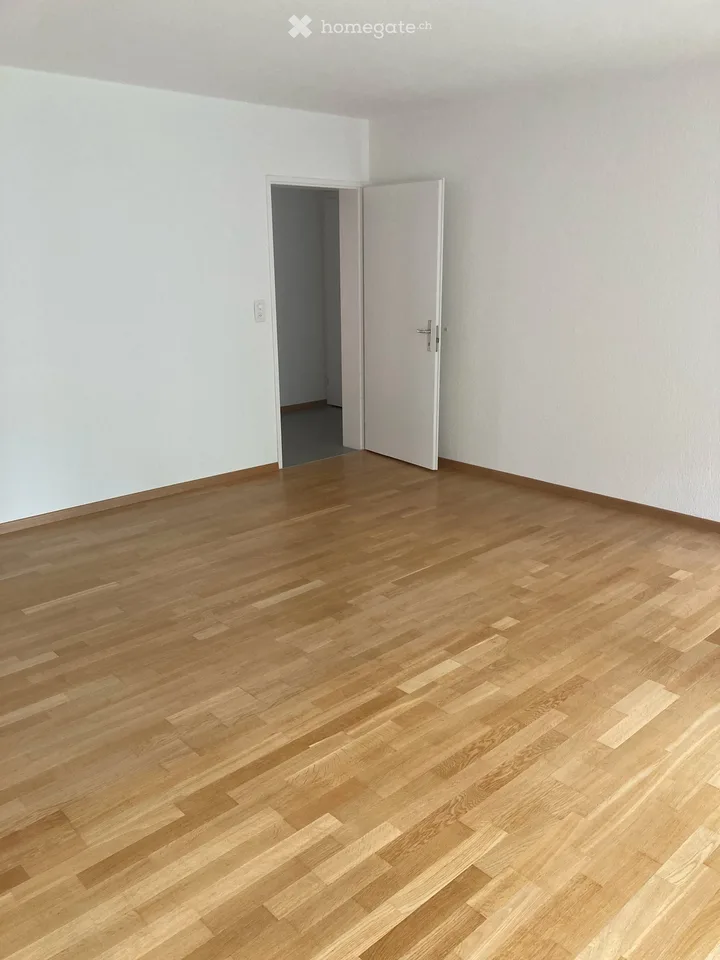 "zentrale Lage nähe Uetliberg und Sihlcity" (Bitte lesen Sie das ganze Inserat!) "