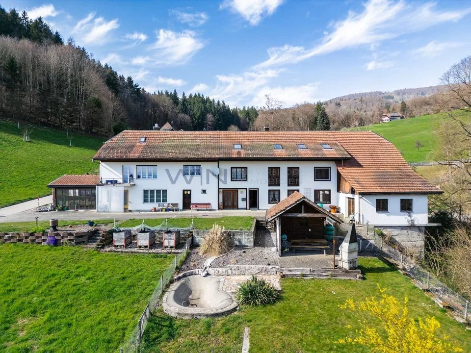 Harmonie von Alltag und Karriere