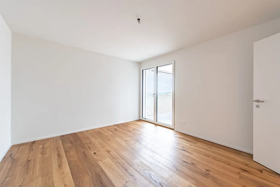 TRAUMWOHNUNG MIT SEESICHT IN BIRRWIL