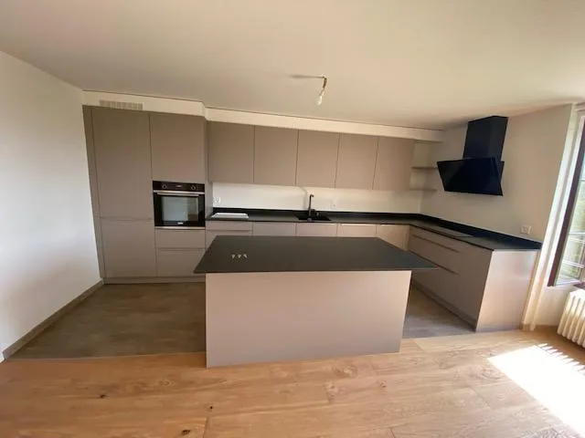 Sehr schönes modernes Attikapartment mit 5 Zimmern und Garten in Avusy