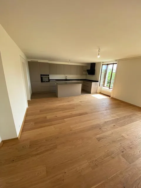 Sehr schönes modernes Attikapartment mit 5 Zimmern und Garten in Avusy