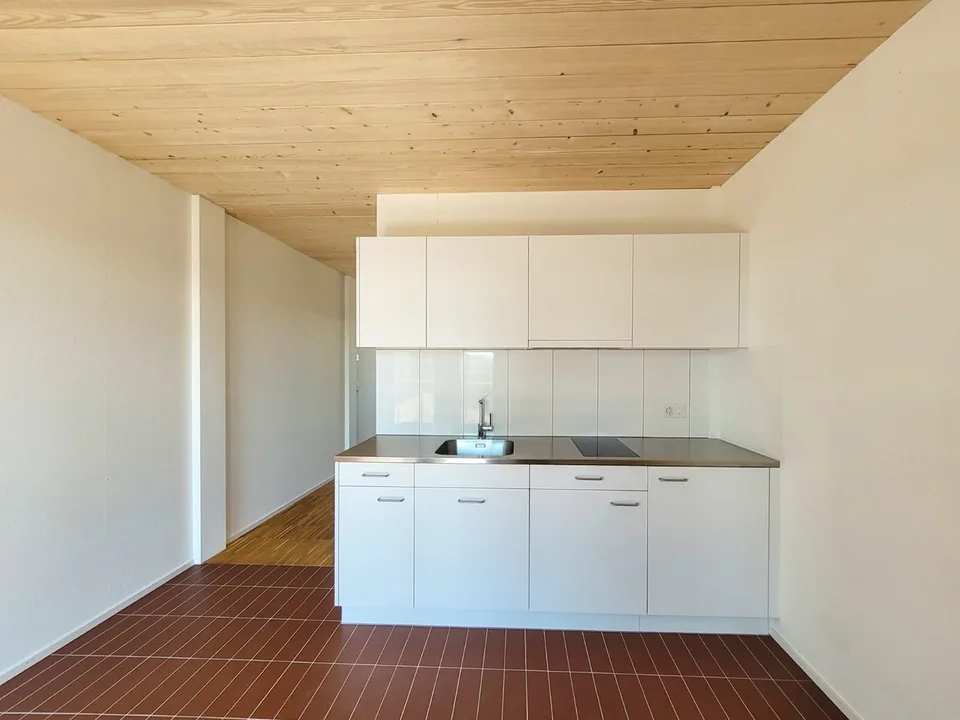 Cooperative Apartment in Car-Free Settlement