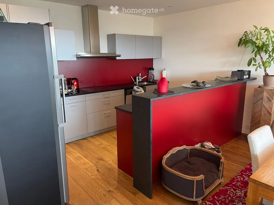 Helle 4.5-Zimmer-Wohnung mit Balkon und schöner Aussicht in Baar