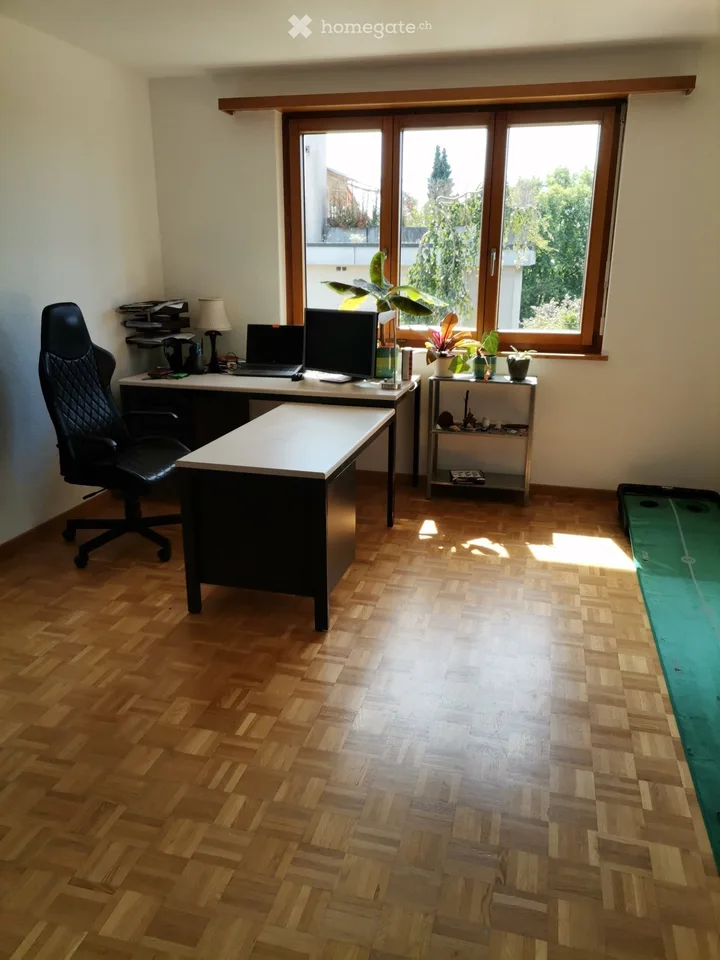 Sunny 3.5-room attic apartment with large terrace ? furnished