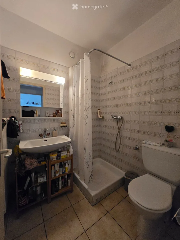 Tenant wanted from September 1st