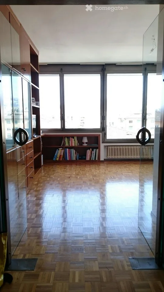 Lugano, affitto appartamento, vicinanza USI