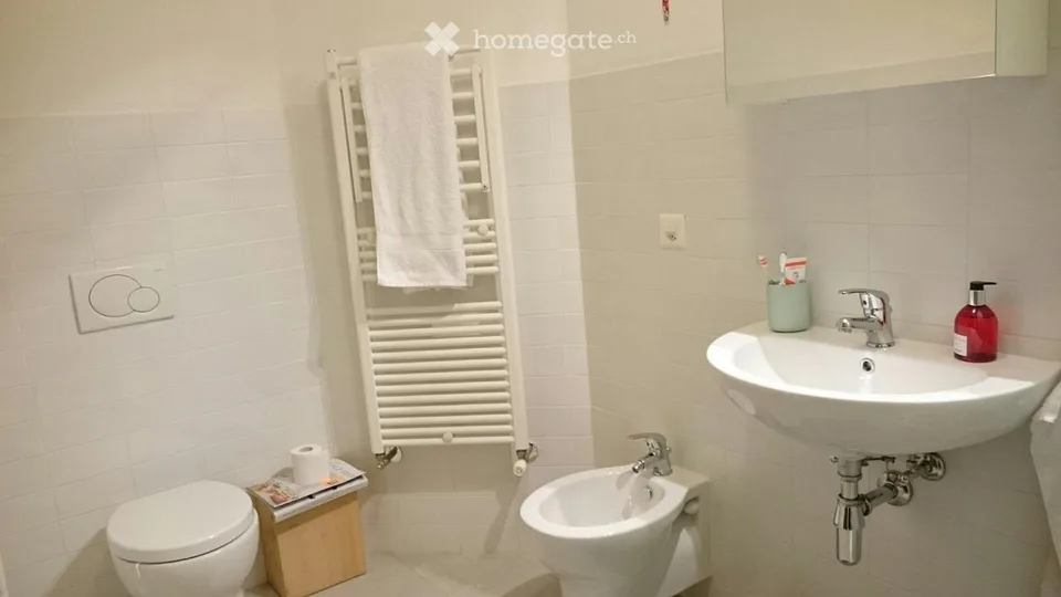 Lugano, apartment for rent, close to USI