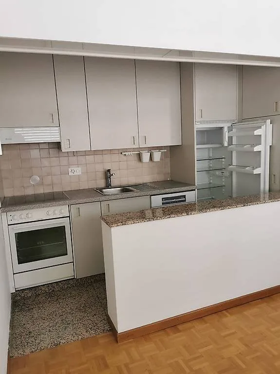 Lugano, apartment for rent, close to USI