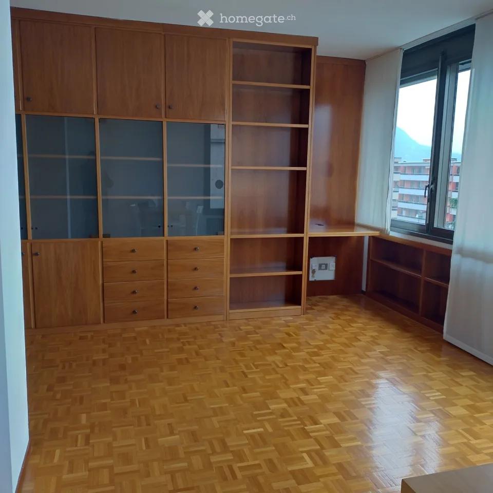 Lugano, apartment for rent, close to USI