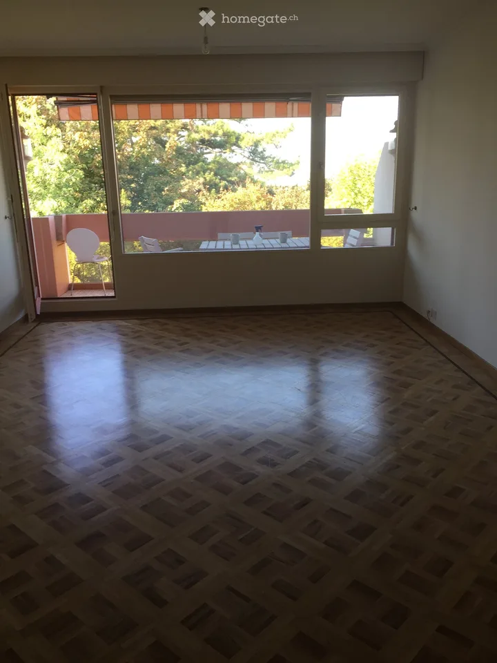 Appartement lumineux de 4.5 pièces avec balcon et belle vue – Genève 1208